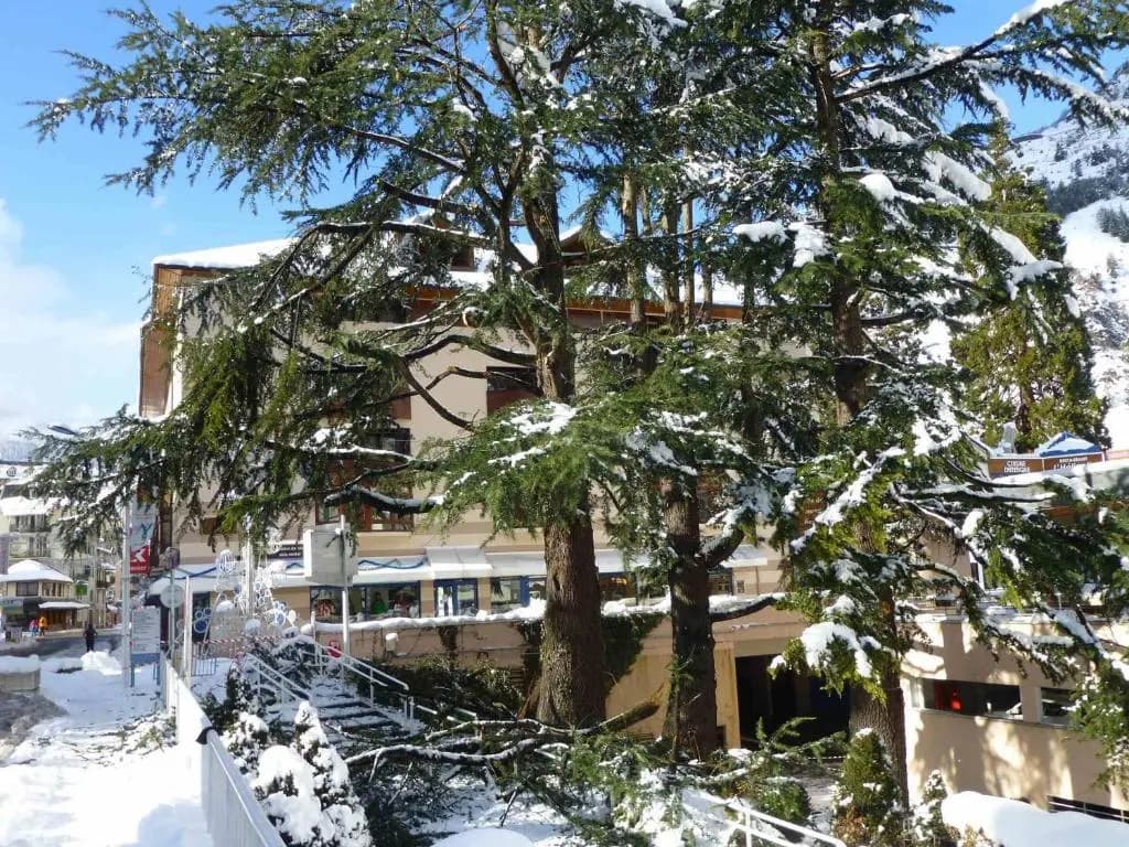 Appartement Brides-les-Bains, 1 pièce, 4 personnes - FR-1-512-156 - Photo 4