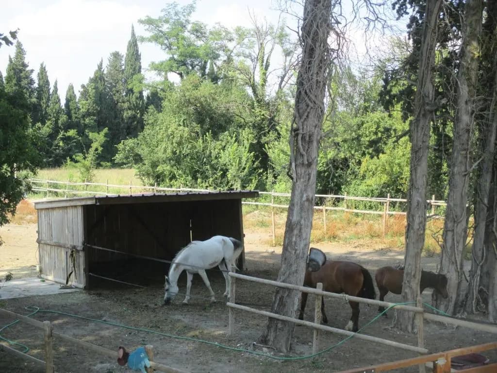 Mas Le Nathakassou - Photo 1