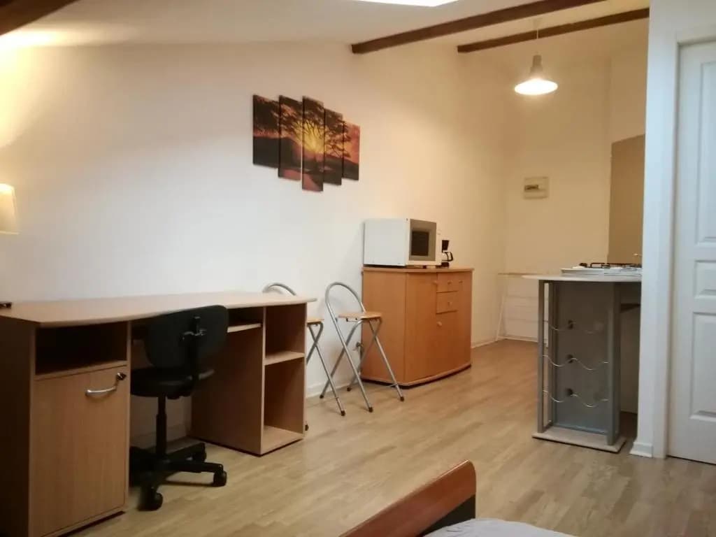 Studio mansardé à Oyonnax - Miniature 8