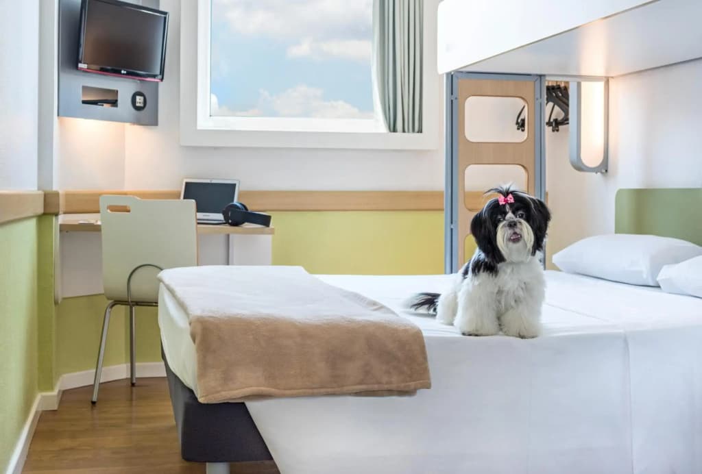 ibis budget Issy Les Moulineaux Paris Ouest - Photo 5
