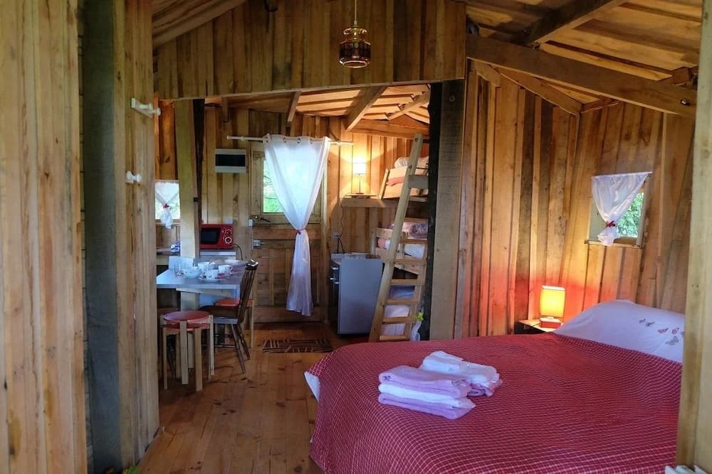 Cabane dans les Arbres - Tree House - Photo 2