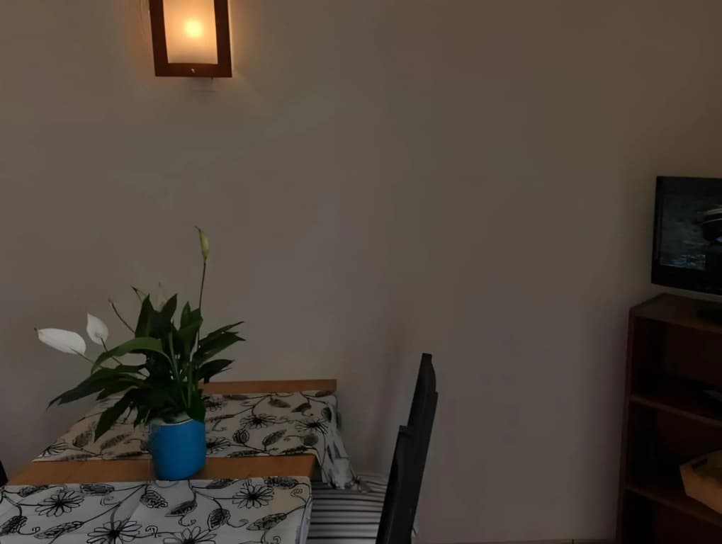 Résidence Appart Hotel Au Pitot - Photo 1