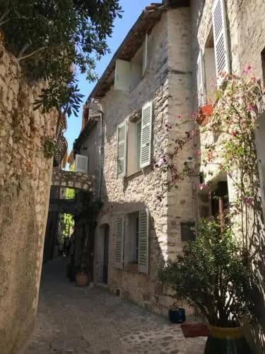 L'élégante - Photo 1