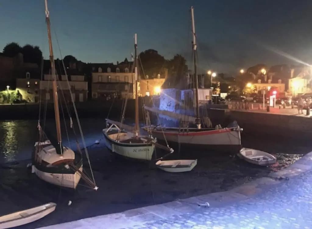 IDÉAL- En plein milieu du PORT de ST GOUSTAN à AURAY- Grand T2 - 50M2 -Belle Terrasse - Miniature 2