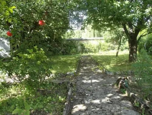 Le Grand Jardin - Miniature 8