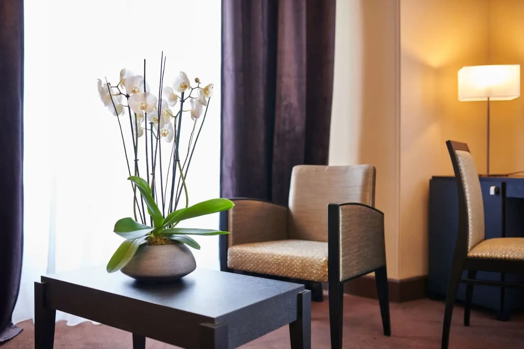 Hotel & Spa Vacances Bleues Le Splendid - Photo 5