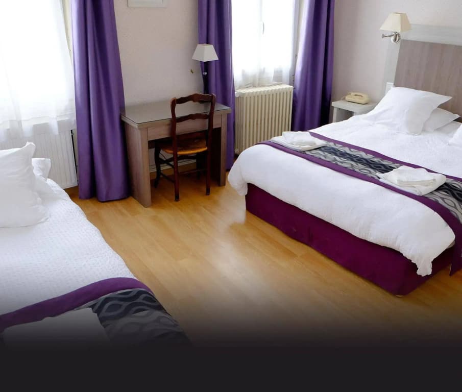 Grand Hôtel Pélisson - Photo 4