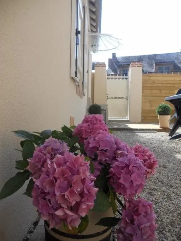 Les Palerées, gîte au coeur d'un village de la Sologne des Etangs - Photo 1
