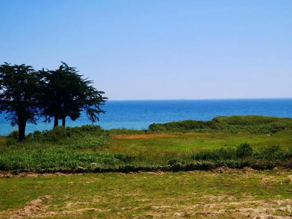Appartement Saint-Pierre-Quiberon, 2 pièces, 5 personnes - FR-1-478-57 - Miniature 5