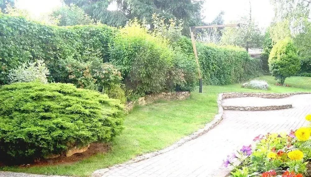 Le Relais de Massy - Photo 4