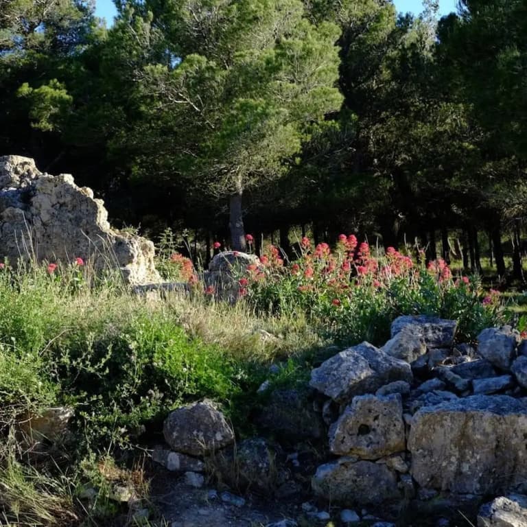 La Stregheria - Miniature 6