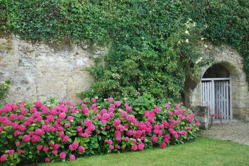 Le Pavillon de la Lanterne - Photo 1