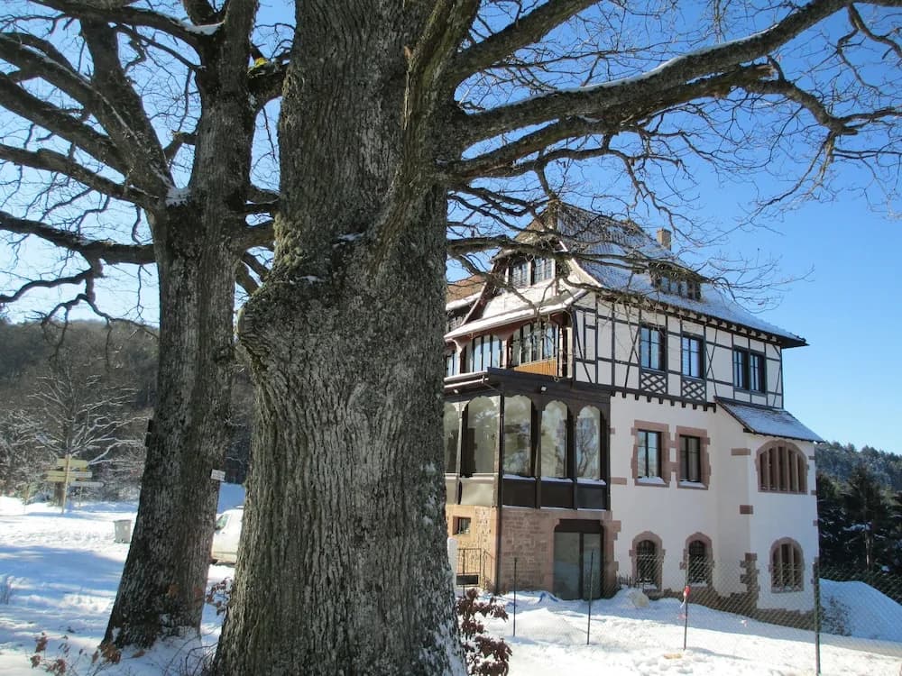 Logis du Haut-Koenigsbourg - Photo 1