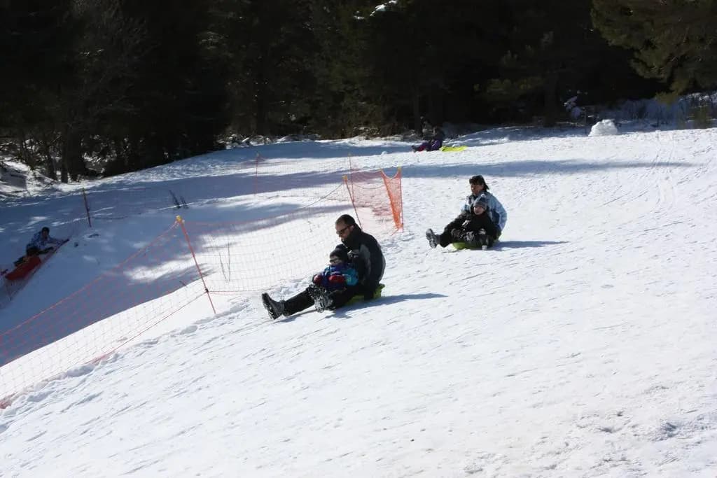 Volcans - Vacances - Les chalets du Lac - Photo 1