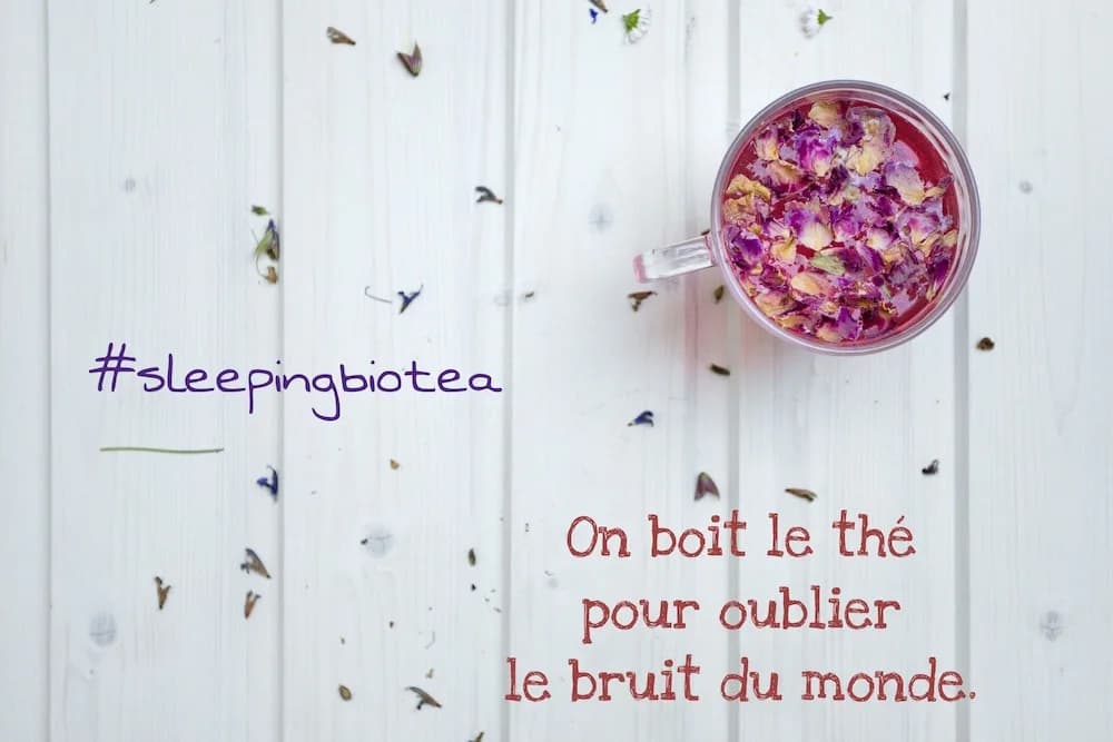 Sleeping Bio Tea - B&B - Miniature 6