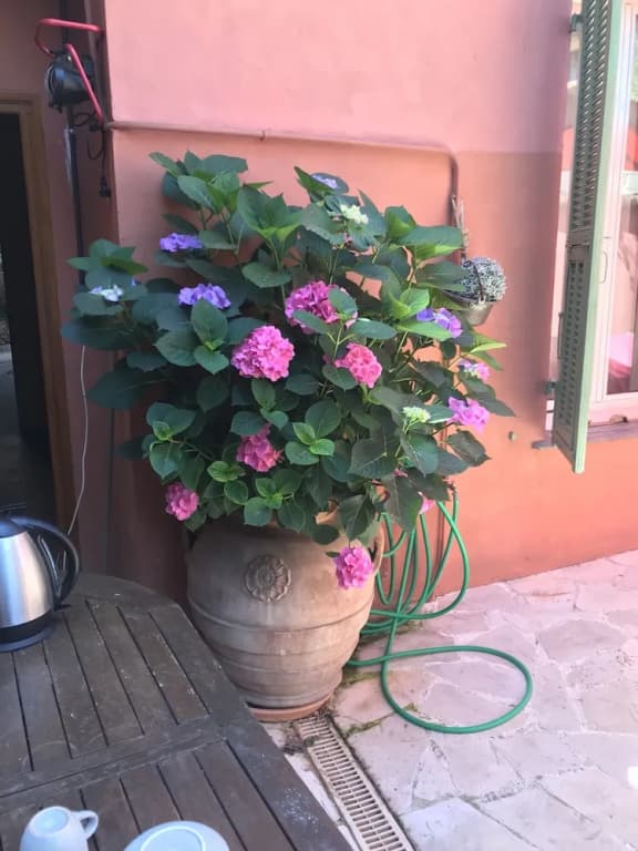 Villa Gaby - Miniature 8