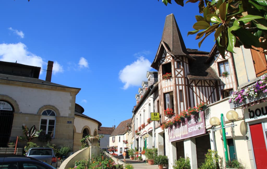 Logis Hôtel Du Dauphin - Photo 1