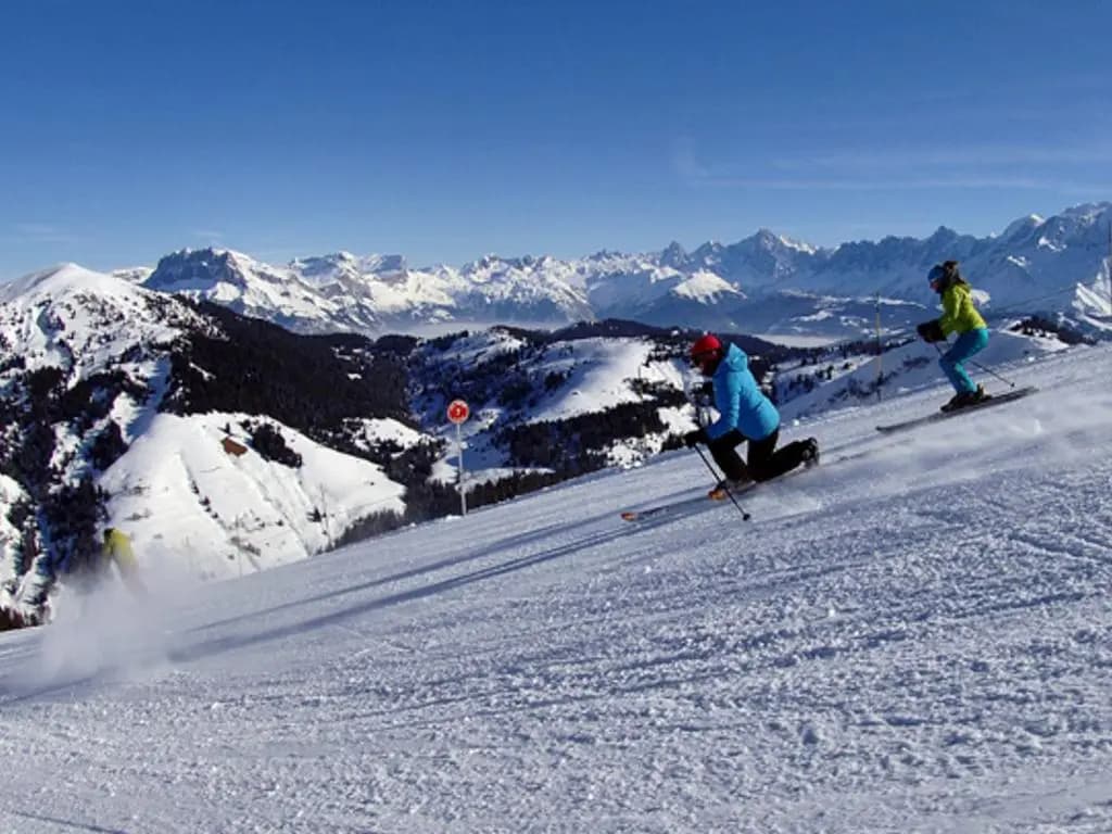 Chalet Crest-Voland, 7 pièces, 16 personnes - FR-1-505-75 - Photo 1