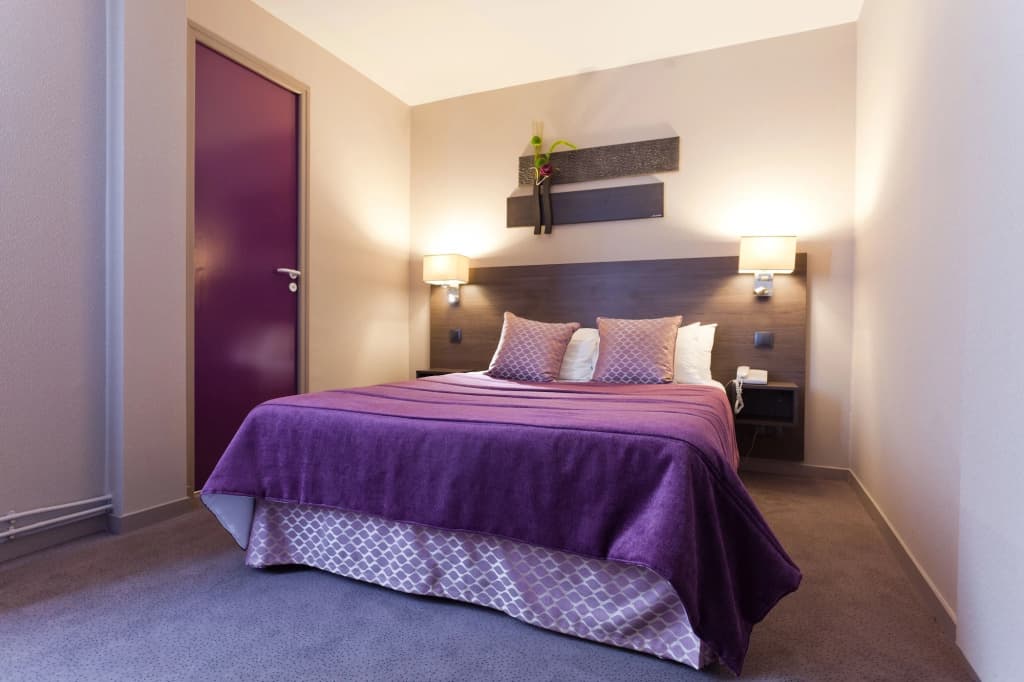 Hotel France Albion - Photo 5
