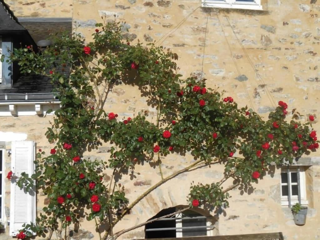 Au Presbytère de Dagmar - Photo 1