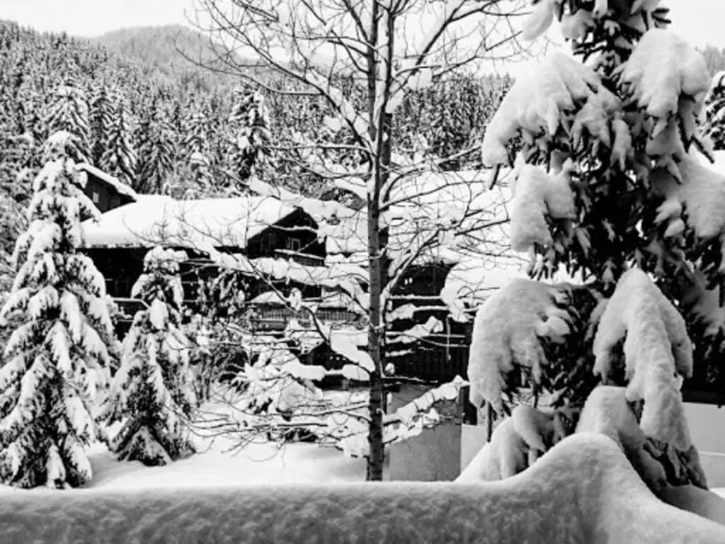 Chalet La Tania, 4 pièces, 13 personnes - FR-1-513-45 - Photo 1
