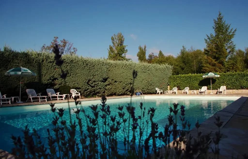 Auberge de l'escargot d'or - Photo 5