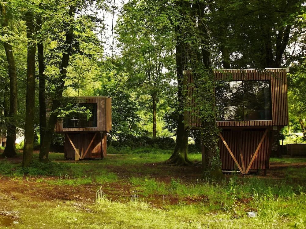 L'Etape en Foret - Miniature 7