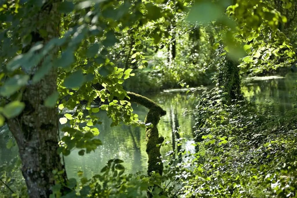 Manoir d'Hautegente - Photo 4