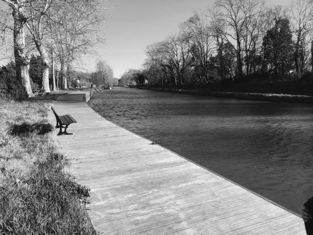 La Marelle - Photo 3