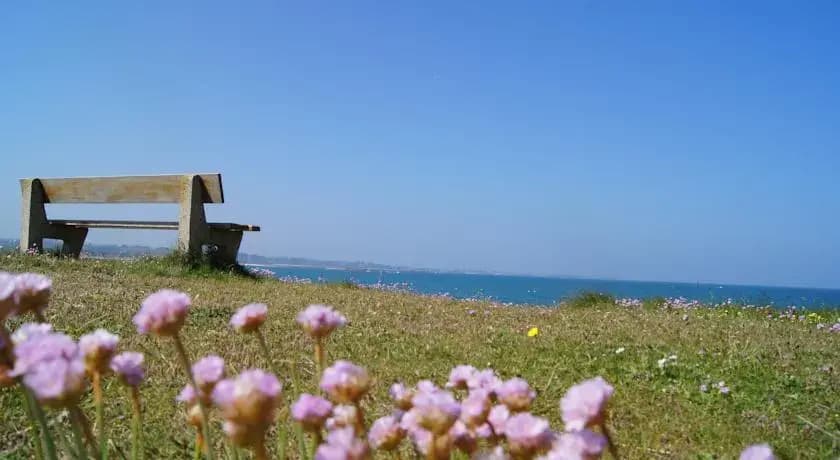 An Ty Monot - Miniature 3