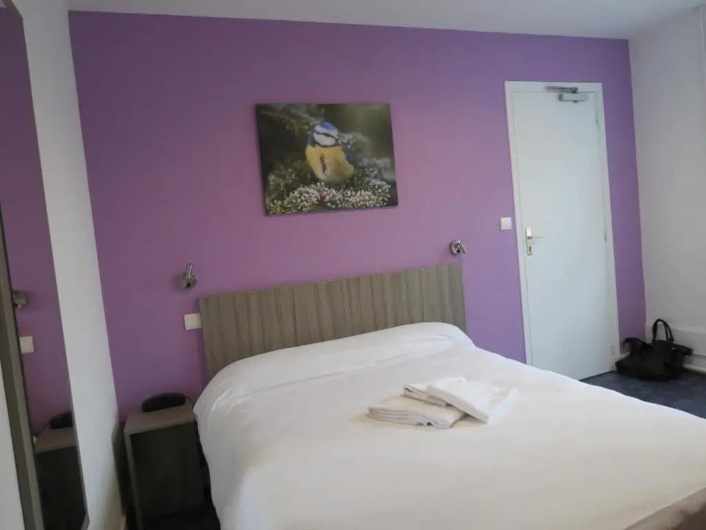 Hotel Le Faisan - Photo 2