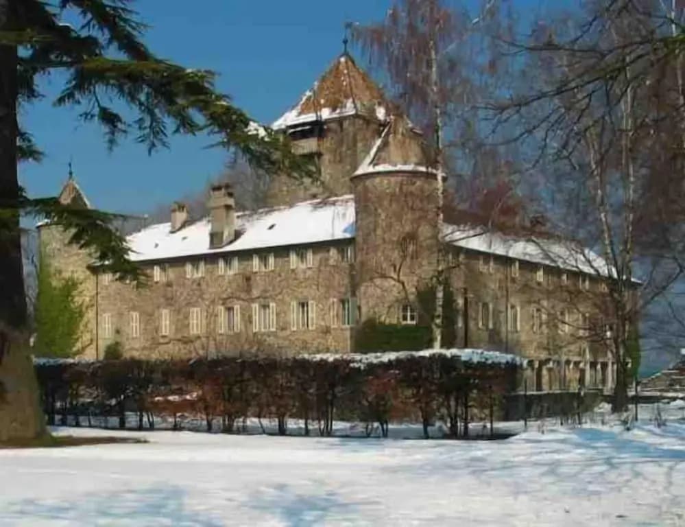 Château de Coudrée - Photo 1