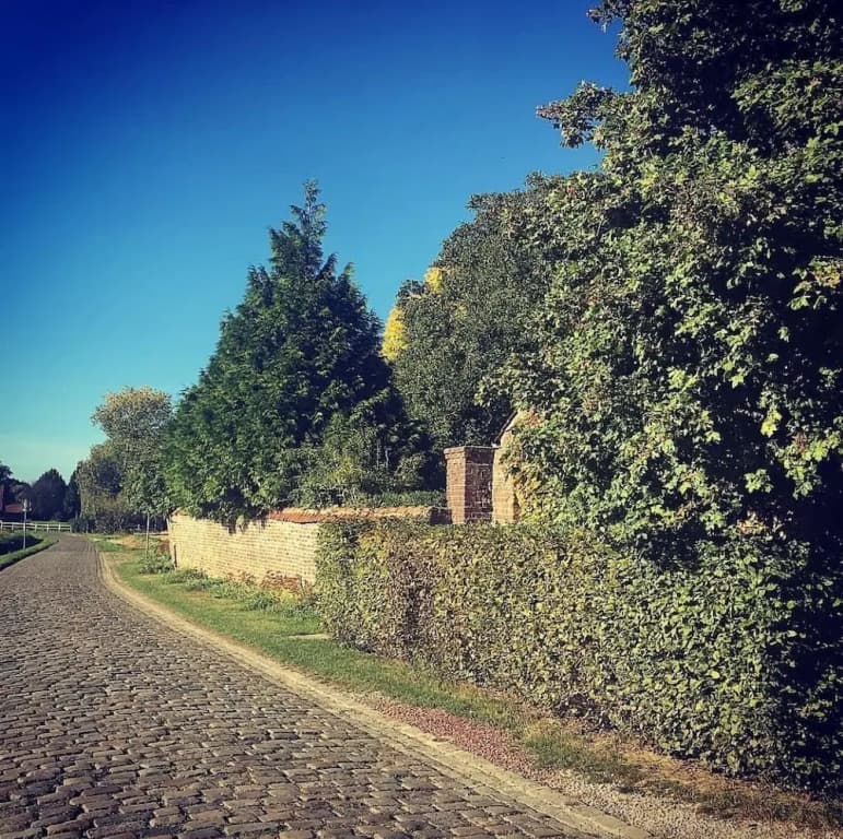 Le Clos de Bénédicte - Photo 5