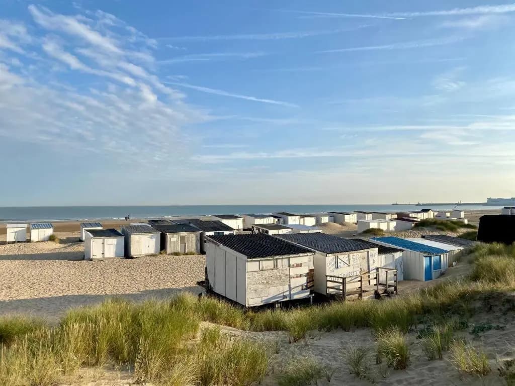 Studio Cosy En Bord de Mer (Adults Only) - Miniature 3