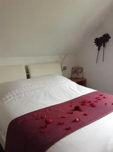 Gîte & Chambres d'hôtes Sabine Billmann - Photo 3