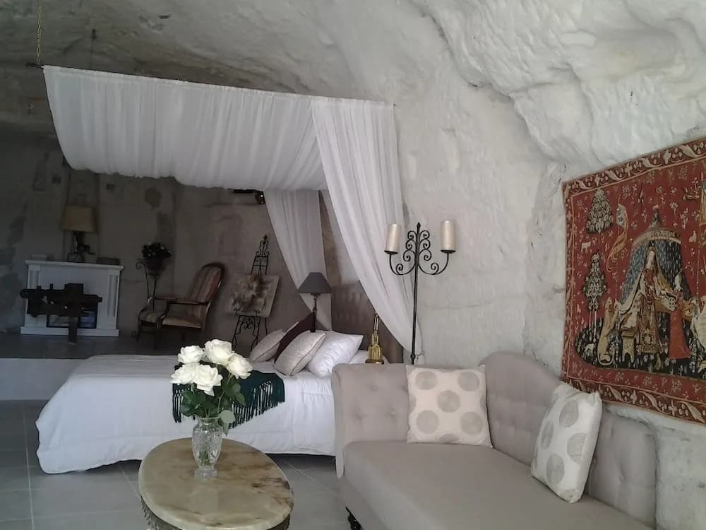 Manoir des Roches 41 - Photo 3