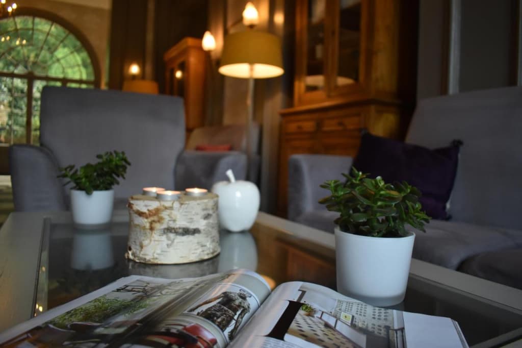 Domaine de Joinville & Spa - Miniature 6