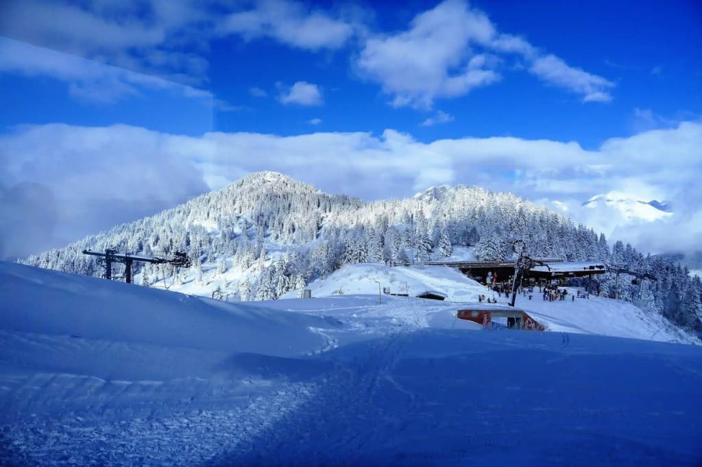 Chalet du Bois - Photo 3