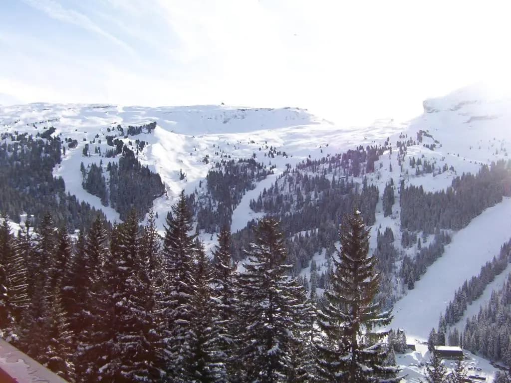 Appartement Flaine, 2 pièces, 4 personnes - FR-1-425-161 - Photo 5