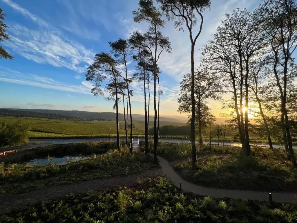 Loisium Wine & Spa Hotel Champagne - Photo 2
