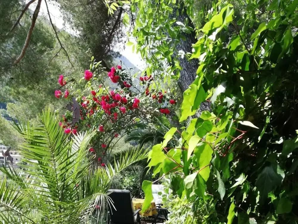 Tuinappartement - Castel D'incze - Miniature 7
