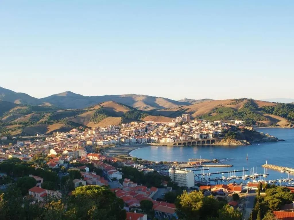 Appartement Banyuls-sur-Mer, 1 pièce, 4 personnes - FR-1-225C-461 - Miniature 8