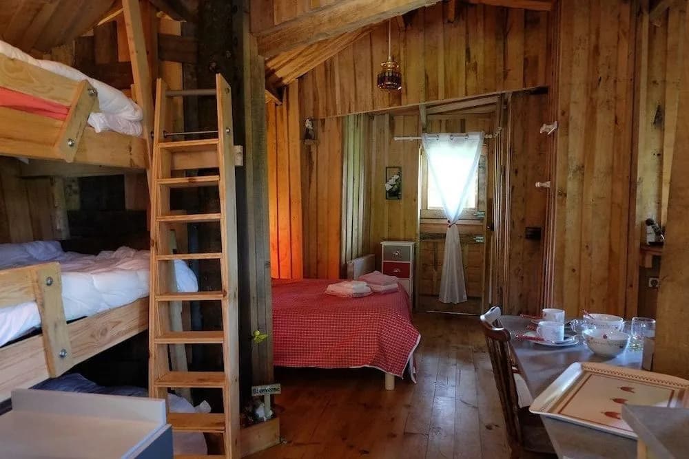 Cabane dans les Arbres - Tree House - Photo 5