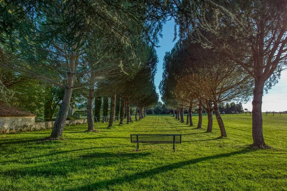 Domaine De Labarthe - Photo 4