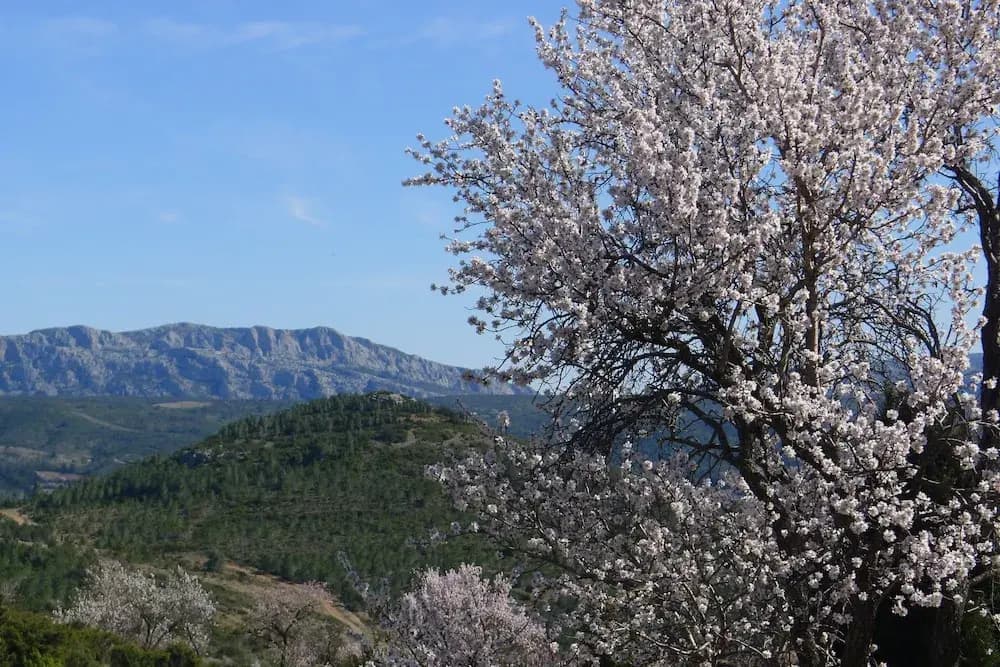 Yourte Nature Saint Roch - Photo 3