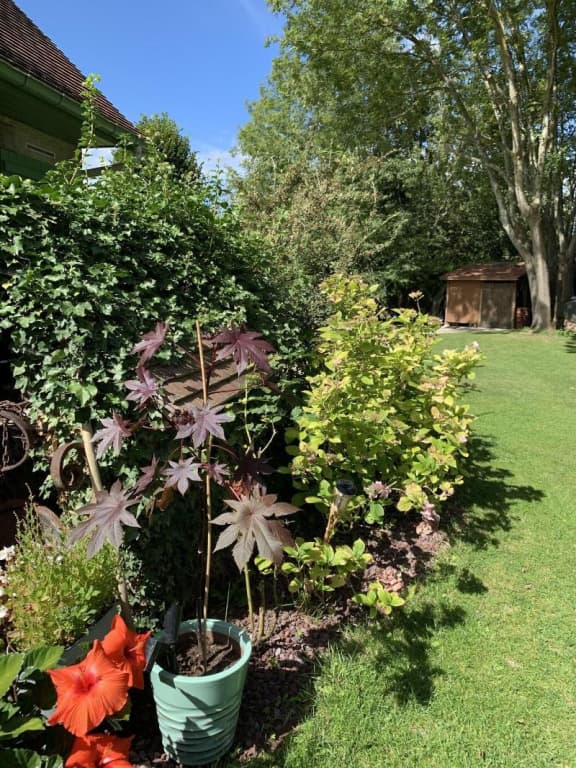 L'Orée de Giverny - Miniature 7