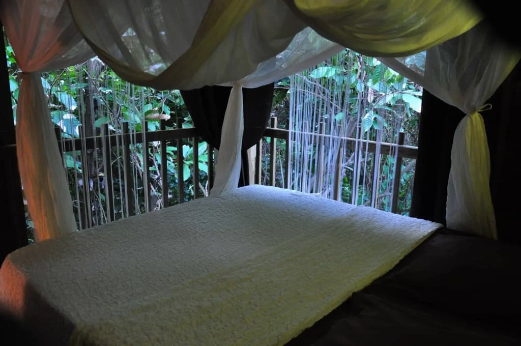 West Indies Cottage - Photo 4