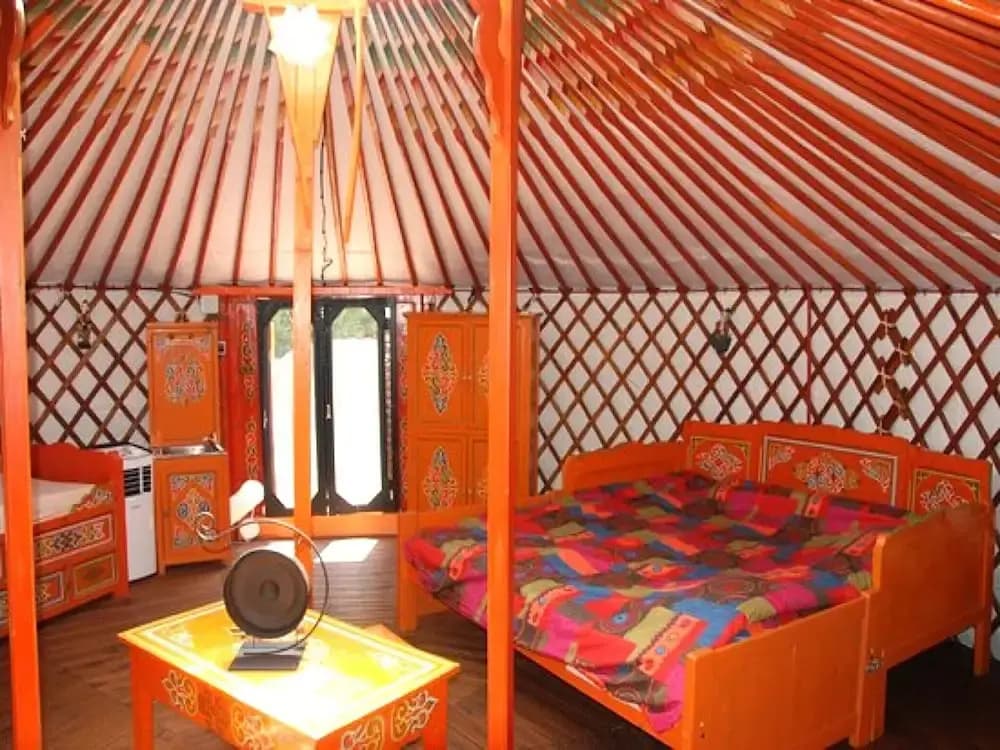 Superb Yurt of Mongolian Tradition in Provence - Photo 5