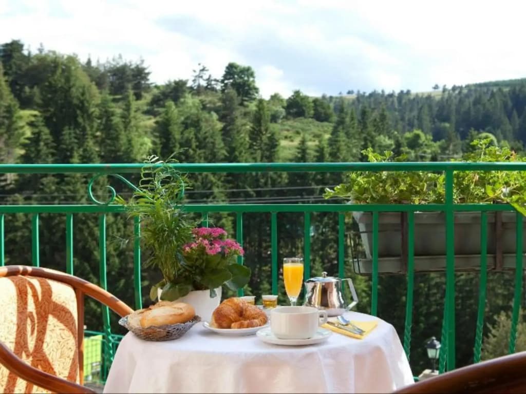 Logis Hotel Des Sapins - Miniature 7
