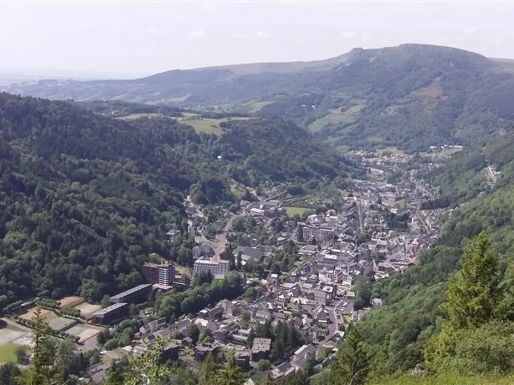 Appartement Mont-Dore, 2 pièces, 4 personnes - FR-1-415-103 - Miniature 8